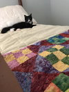 Eliza - bonded with Ranger
