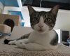 Kiki (bonded w/ Tyranic)