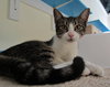 Kiki (bonded w/ Tyranic)