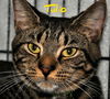 Tulio (bonded with Miguel)