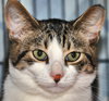 Oliver 2017 #2 (bonded with Rufus)