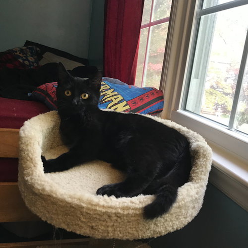 Curly Joe (terrific tri-pod!)