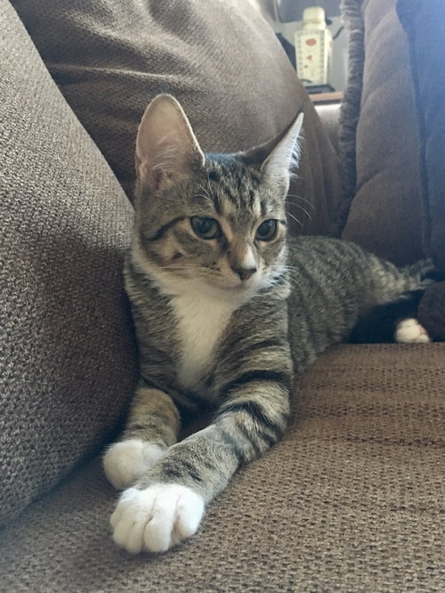 Lili