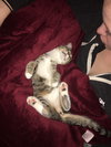 Lili