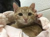 Crosby 2019 (must be adopted w/Hope 2019)