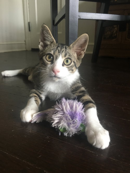 Sprout 2019