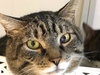 Charles (must be adopted with Christopher)