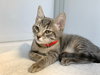 Patti (together w sister Janis from St. Croix)