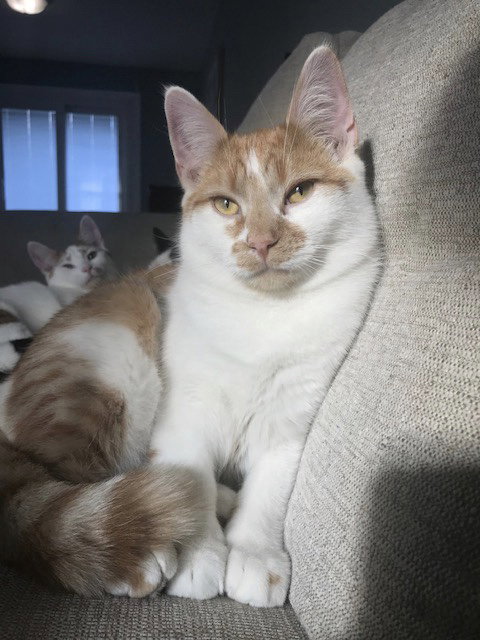 Sophie 2019
