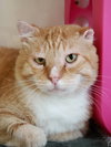 Creamsicle (together w/ best friend George)