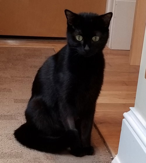 Kiera