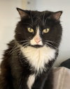 Eliza (must be adopted with Ranger)