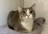 Andy (must be adopted with Ella)