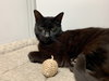Boo and Baby (Sweet Seniors)