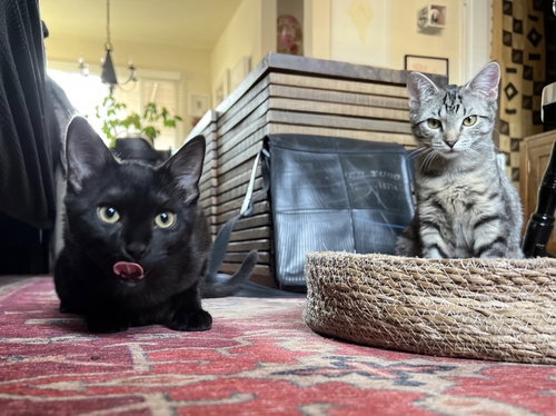 Aggie and Pippa