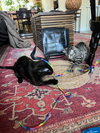 Aggie and Pippa
