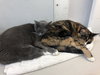 Keva and Nola