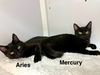 Aries and Mercury