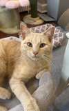 Athos & Aramis - siblings in FOSTER