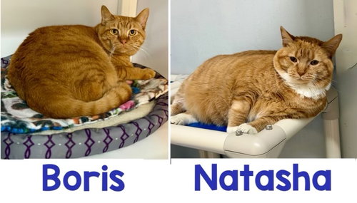 Boris and Natasha