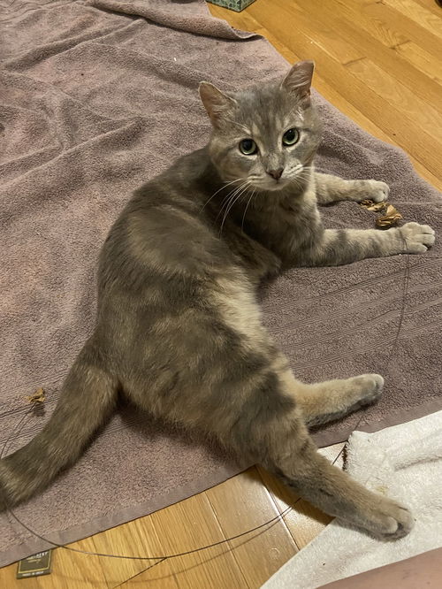 Dawson - in FOSTER