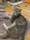 Dawson - in FOSTER