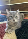 Dawson - in FOSTER