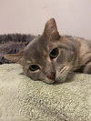 Dawson - in FOSTER