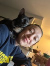 Juno - KITTEN in foster