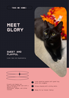 Glory - in FOSTER
