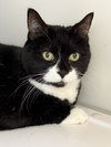 Lexie (Senior)