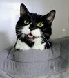 Lexie (Senior)