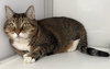 Sadie (Senior)