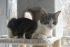 Catelyn (in foster)
