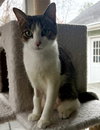 Catelyn (in foster)