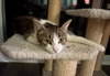 Catelyn (in foster)