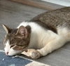 Catelyn (in foster)