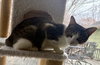 Catelyn (in foster)