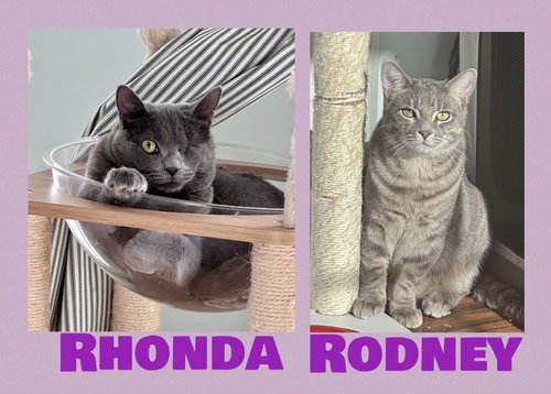 Rhonda & Rodney (In Foster)