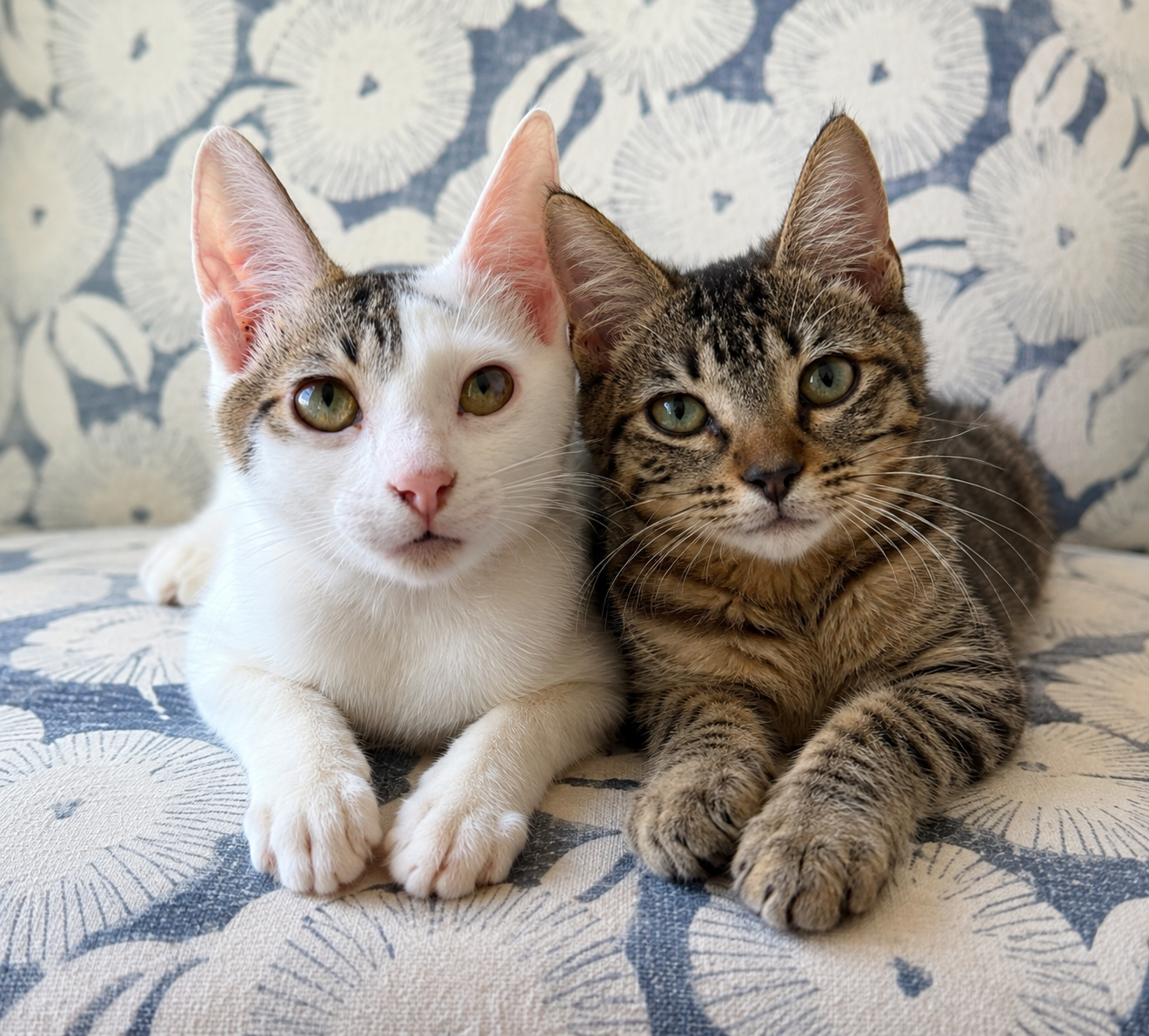 Ringo & Georgia (siblings from Roatan)