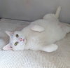 Yoda (Senior)
