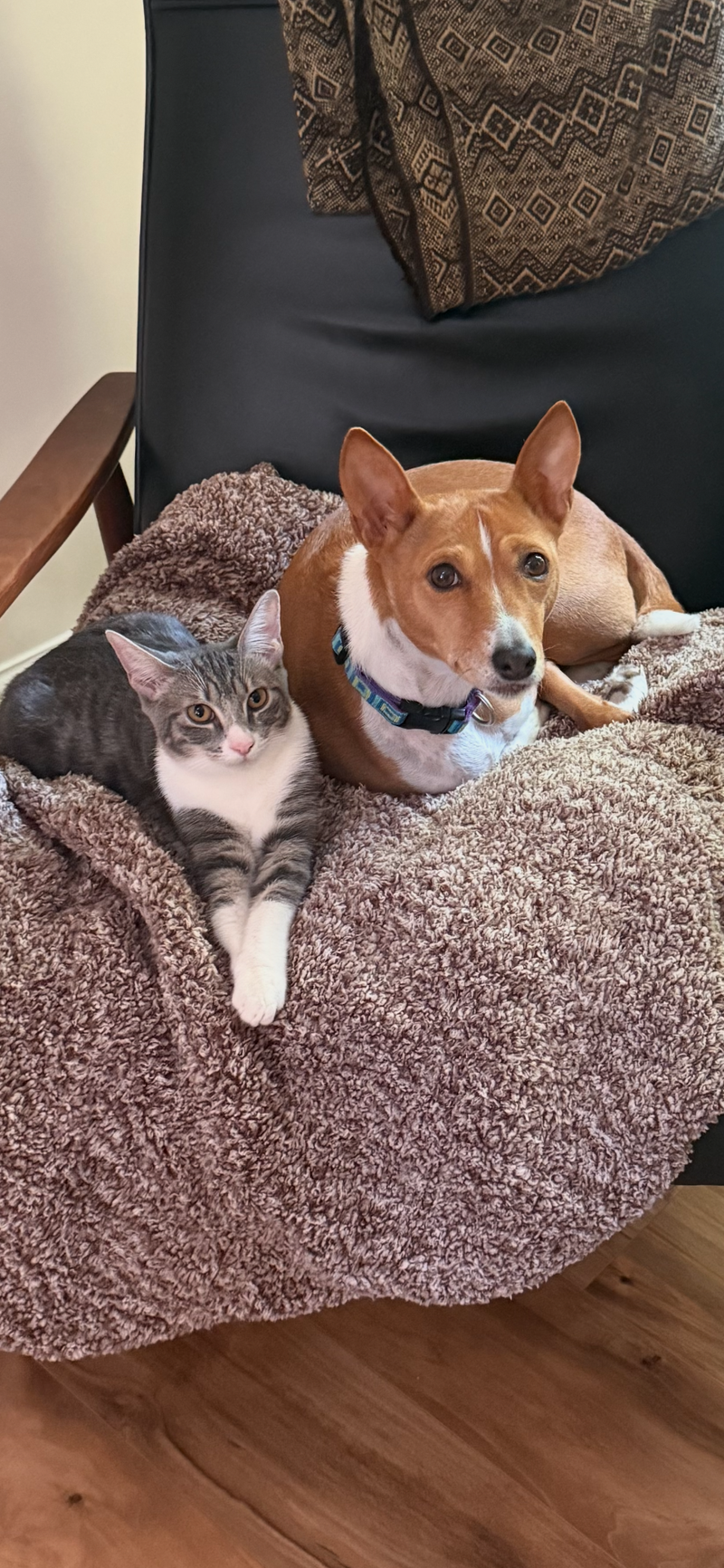 Nemo & Nigel, photo 2
