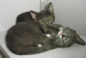 Cloud & Squirt