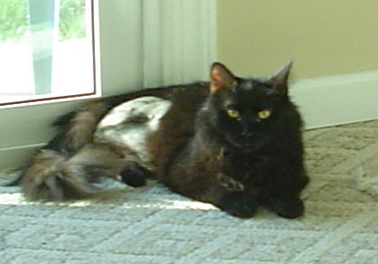 Cyrus