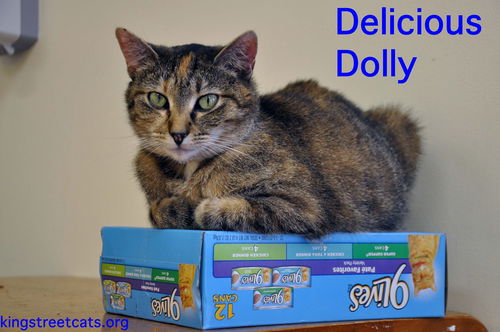 Dolly