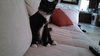 Colonel Brooks (loves his sister, Anne Margaret)