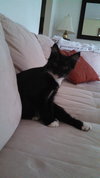 Colonel Brooks (loves his sister, Anne Margaret)