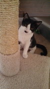Anne Margaret (loves her brother, Col. Brooks)