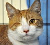 Roary (bonded to Sergio)