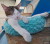 Sugar (bonded with Oreo)